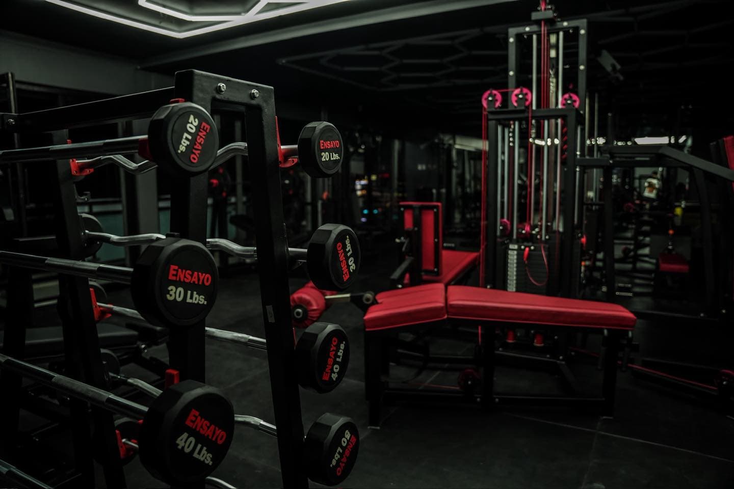 Premium gym equipment with red accents